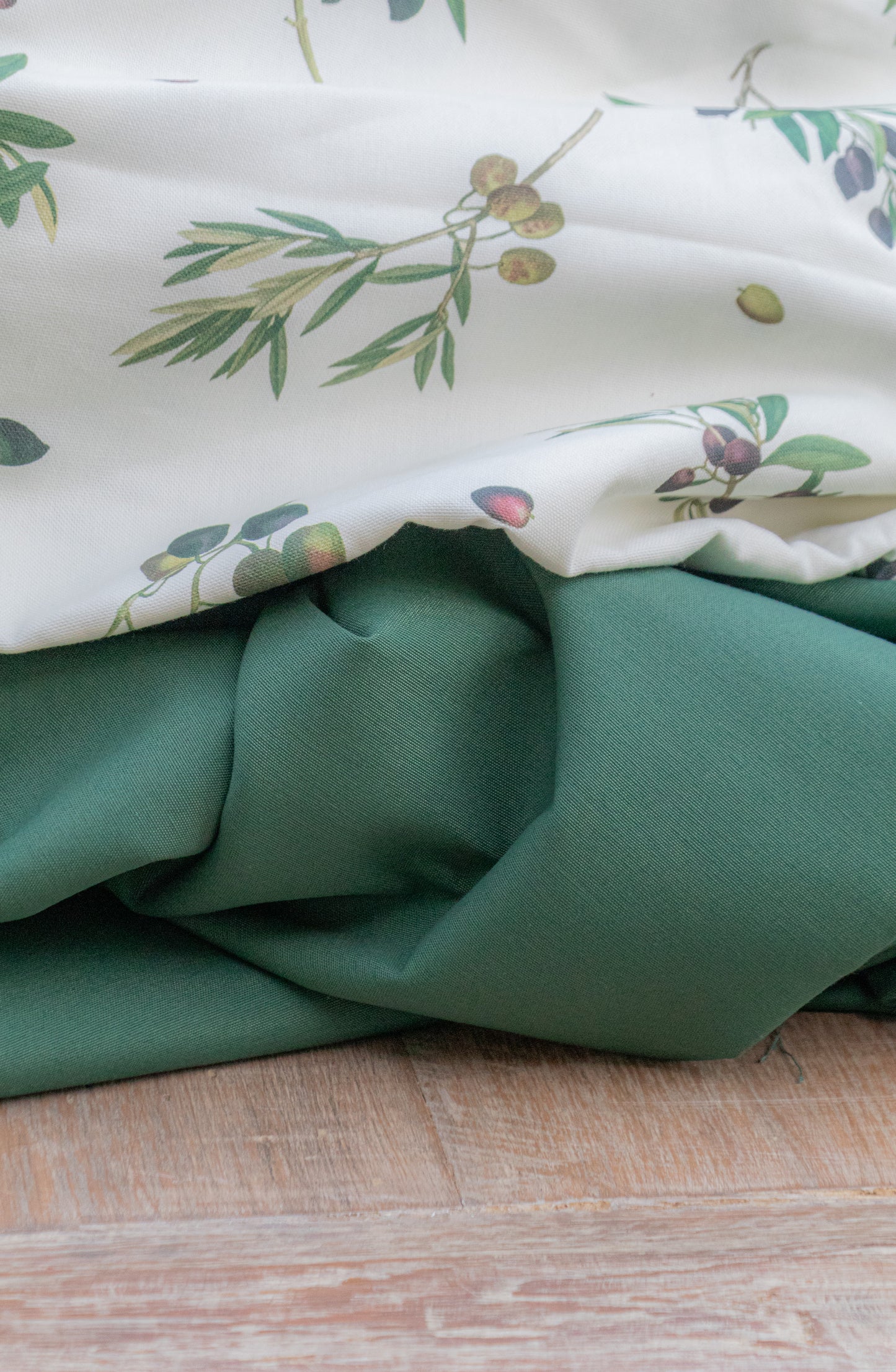 Olivo (Disponible bajo pedido)