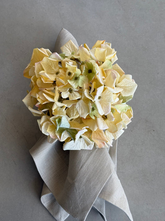 Servilletero - Hortencia (Butter Yellow)