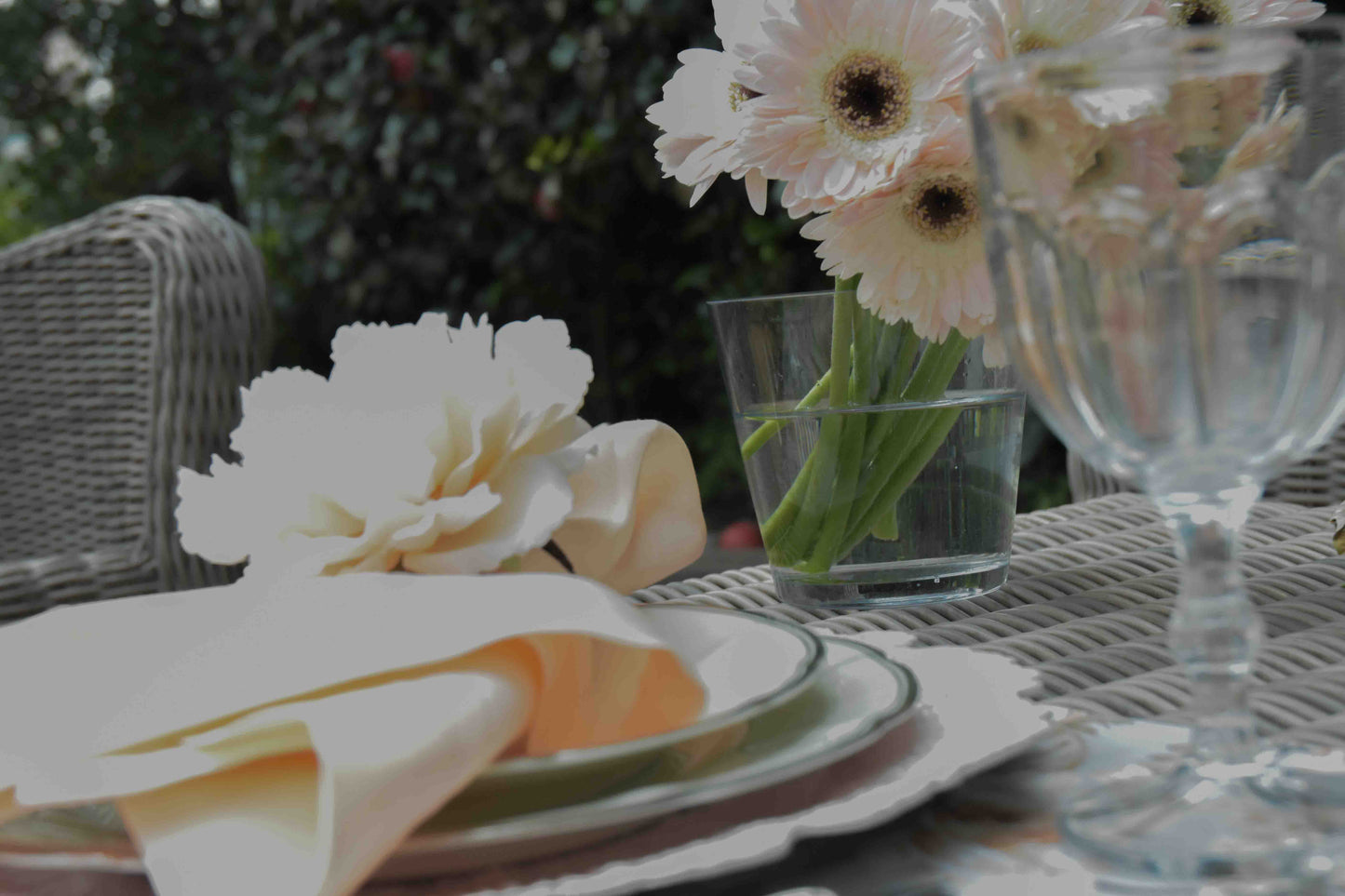 Servilleta Lino (Durazno)