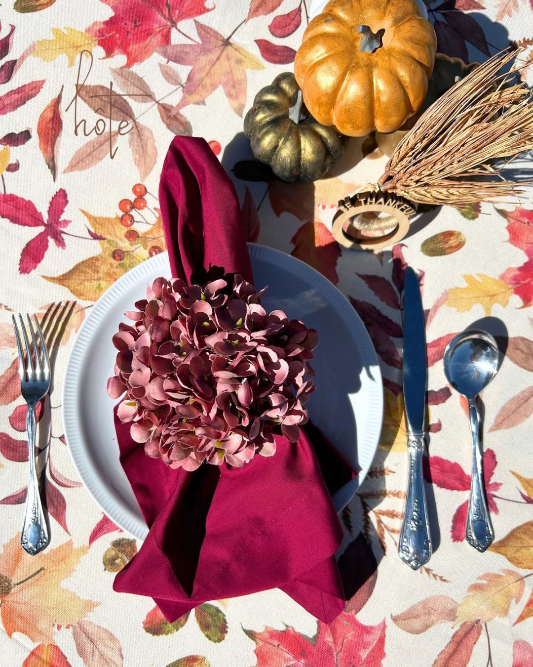 Servilleta (Burdeos)